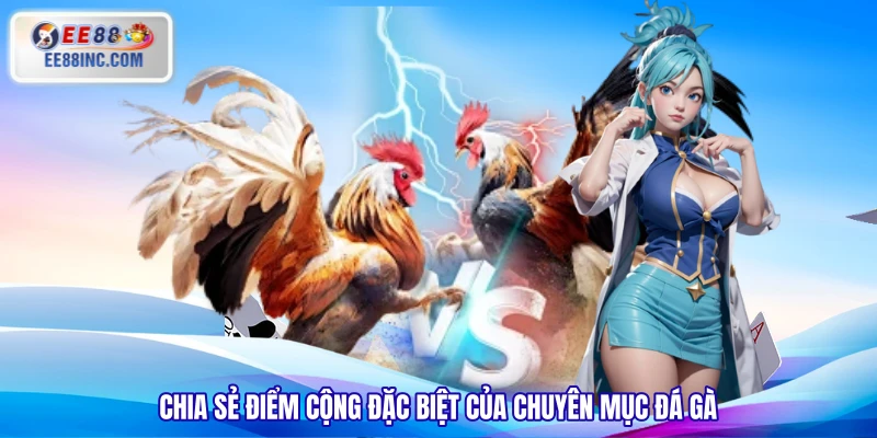 Chia sẻ điểm cộng đặc biệt của chuyên mục đá gà