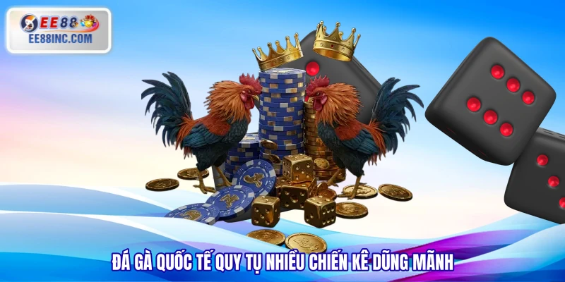 Đá gà quốc tế quy tụ nhiều chiến kê dũng mãnh