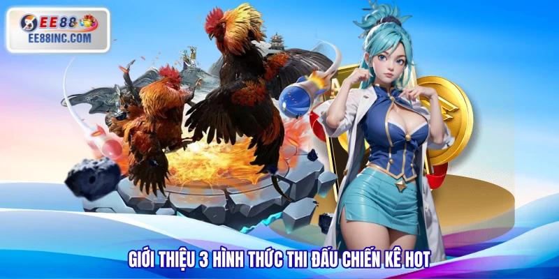 Giới thiệu 3 hình thức thi đấu chiến kê hot