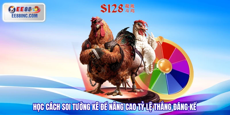 Học cách soi tướng kê để nâng cao tỷ lệ thắng đáng kể