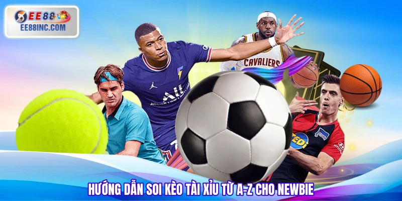 Hướng dẫn soi kèo tài xỉu từ A-Z cho Newbie