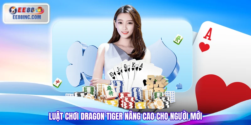 Luật chơi Dragon Tiger nâng cao cho người mới