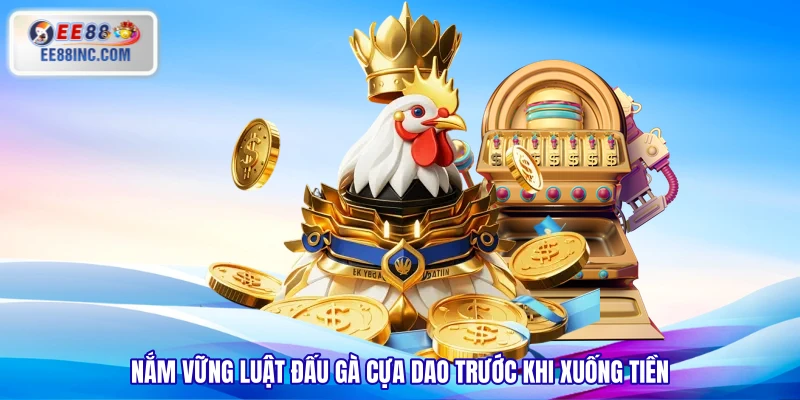 Nắm vững luật đấu gà cựa dao trước khi xuống tiền