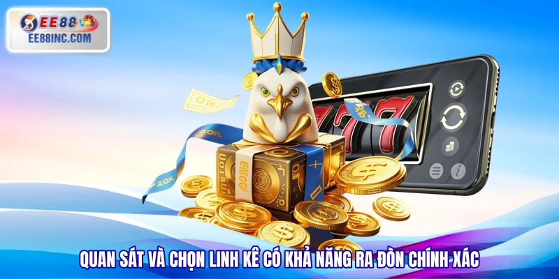 Quan sát và chọn linh kê có khả năng ra đòn chính xác