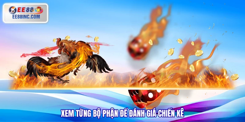 Xem từng bộ phận để đánh giá chiến kê 